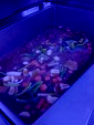 Préparation du bouillon de légumes